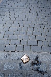 Scallop shell showing the way in Leon.