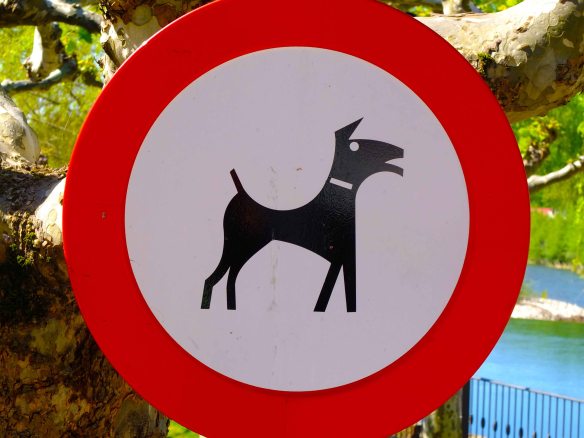 dog sign