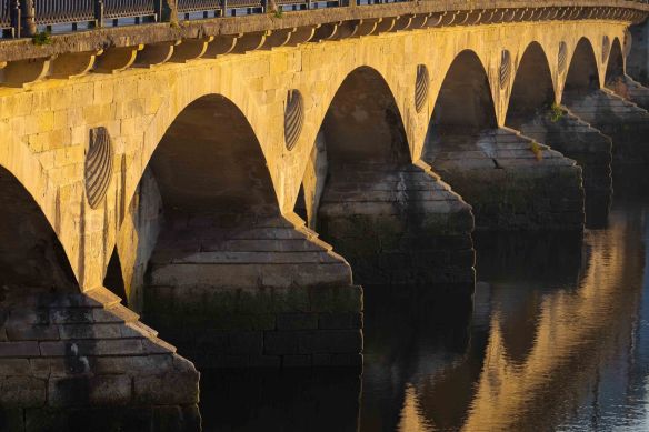Bridge with scallop shells