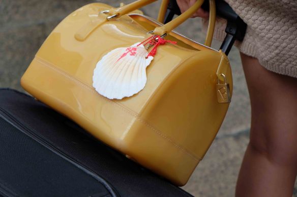 catarina walking away shell