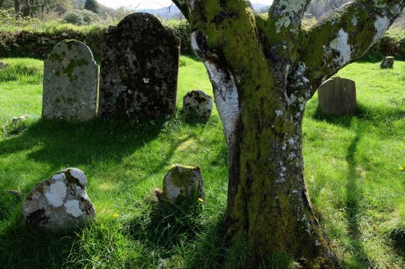 gravestones and trees