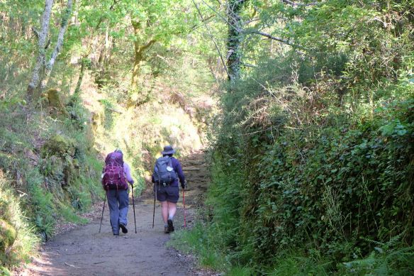 julie and donna on path