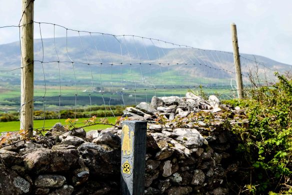 Plgrim marker.5 wider