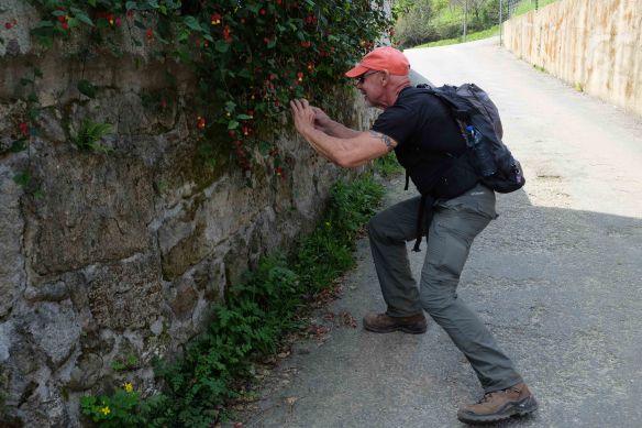 steve taking photo with flower
