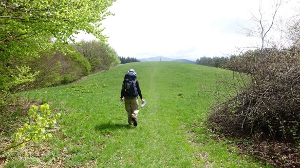Peter walking up hill