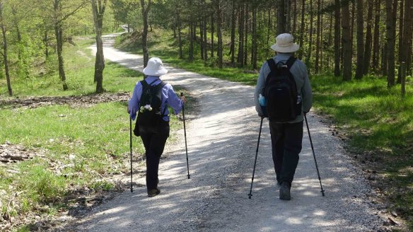 Angie and Ken walking rv thru woods