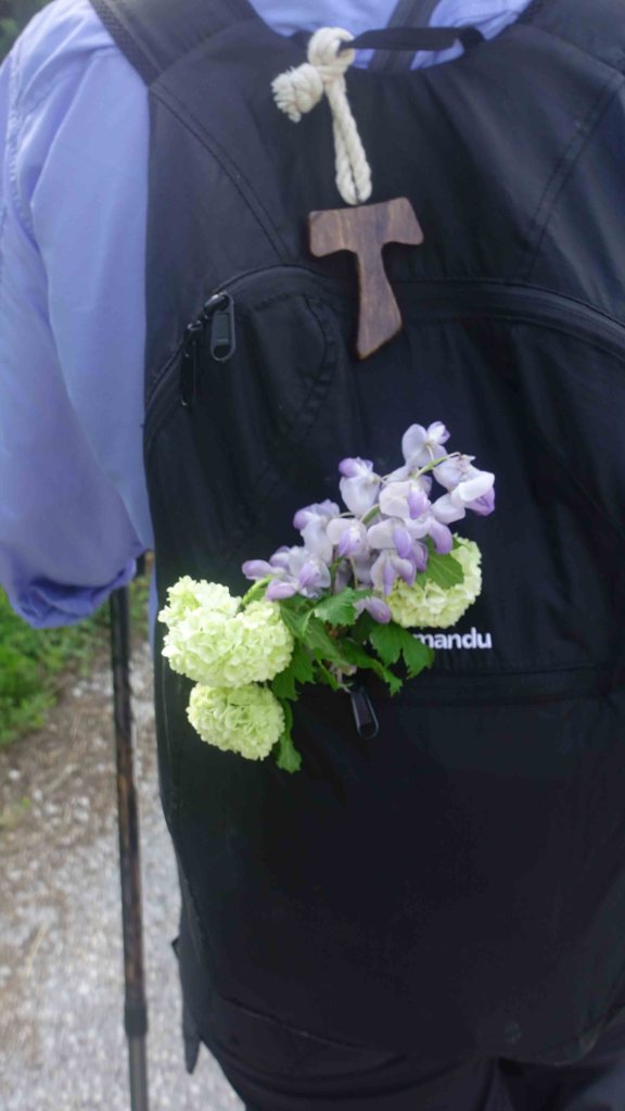 Angie flowers in pack