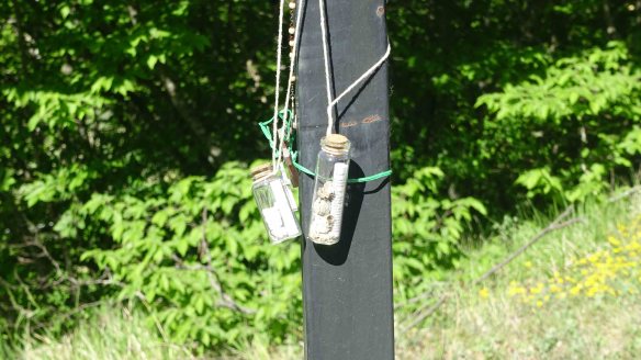 cu barnacles on cross