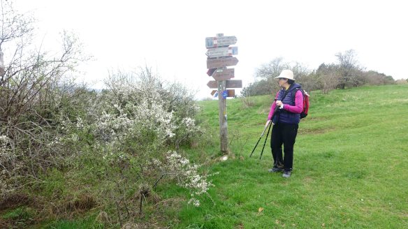 Marie at signpost