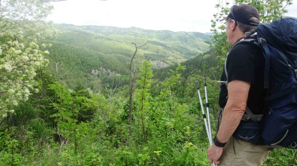 Peter looking out over valley