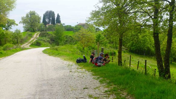 picnic by side of road.ws