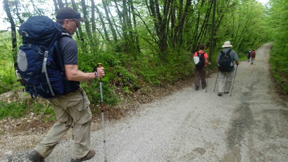 Walking down track.2