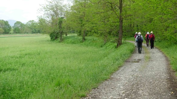 Walking through fields