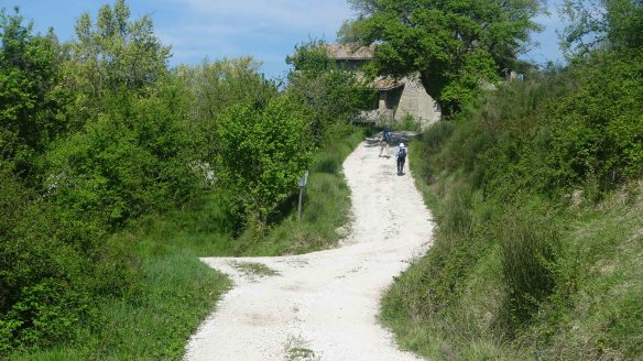 Walking up to abandoned house