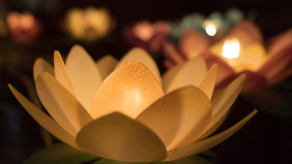 cpyright BIll Bennett