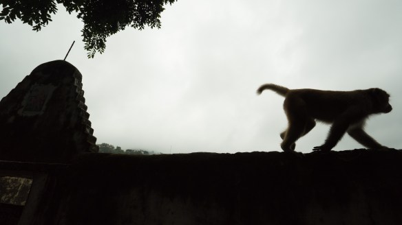 cpyright BIll Bennett