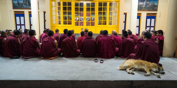 cpyright BIll Bennett