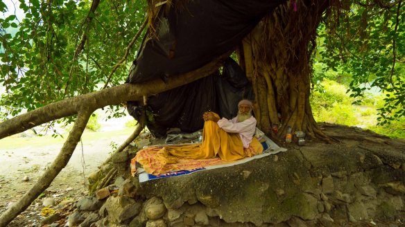 Sadhu by tree Rishikesh
