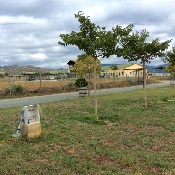 Albergue Santiago Apostol