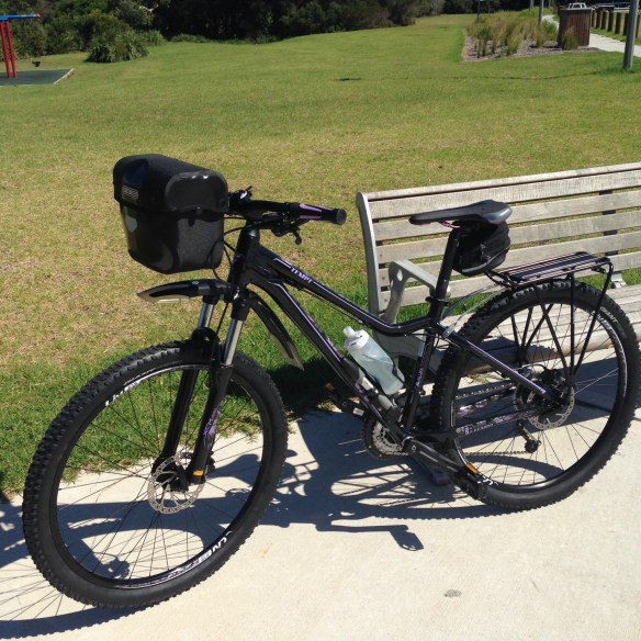 The Camino dream bike