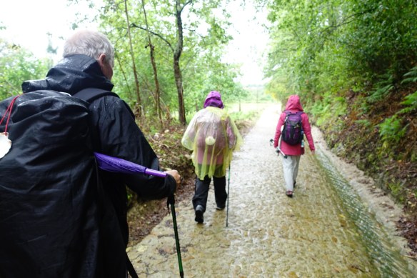 Alistair Stella and Jen walking RV-1