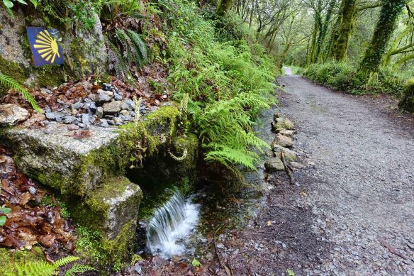 little waterfall by track-1