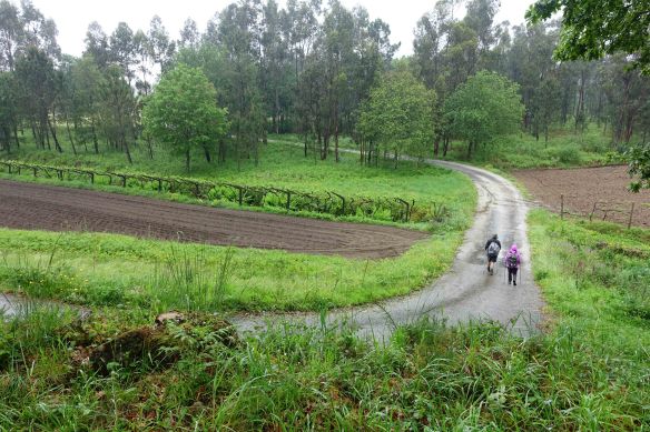 Merissa & Bart ws walking-1