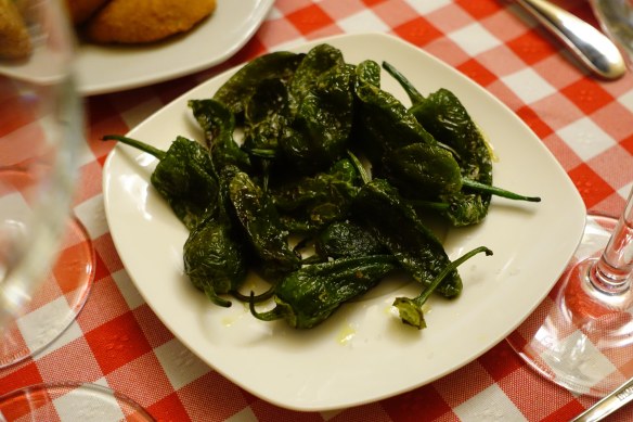 Padron peppers-1