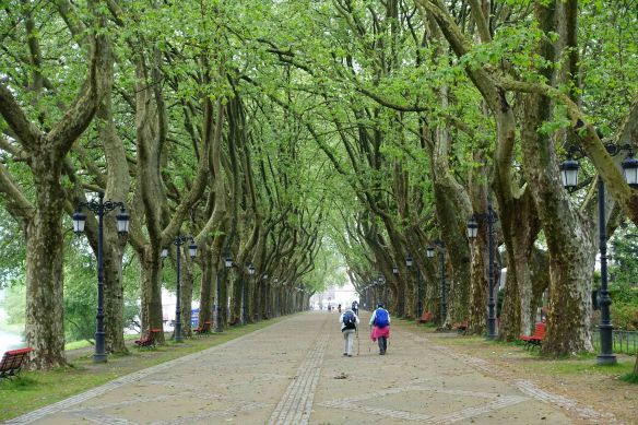 Walking into Ponte de Lima RV-1