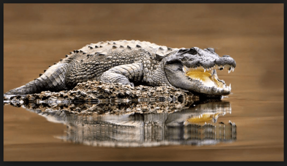 Screenshot 2016-08-28 13.34.59