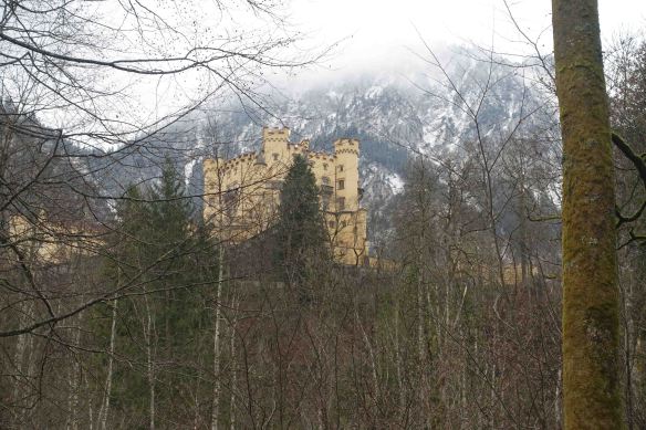 castle-closer-through-trees